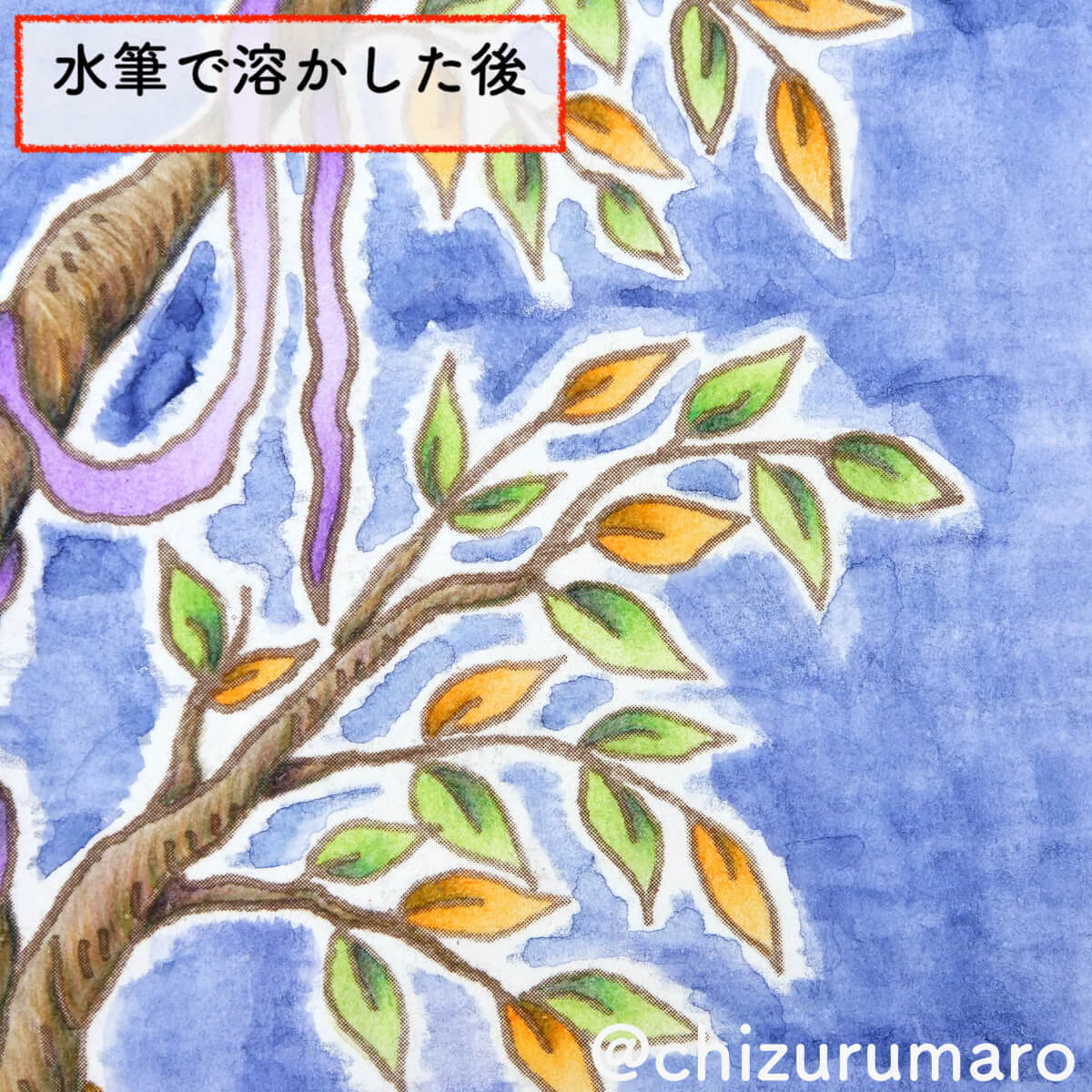 f:id:chizurumaro:20201208162411j:plain