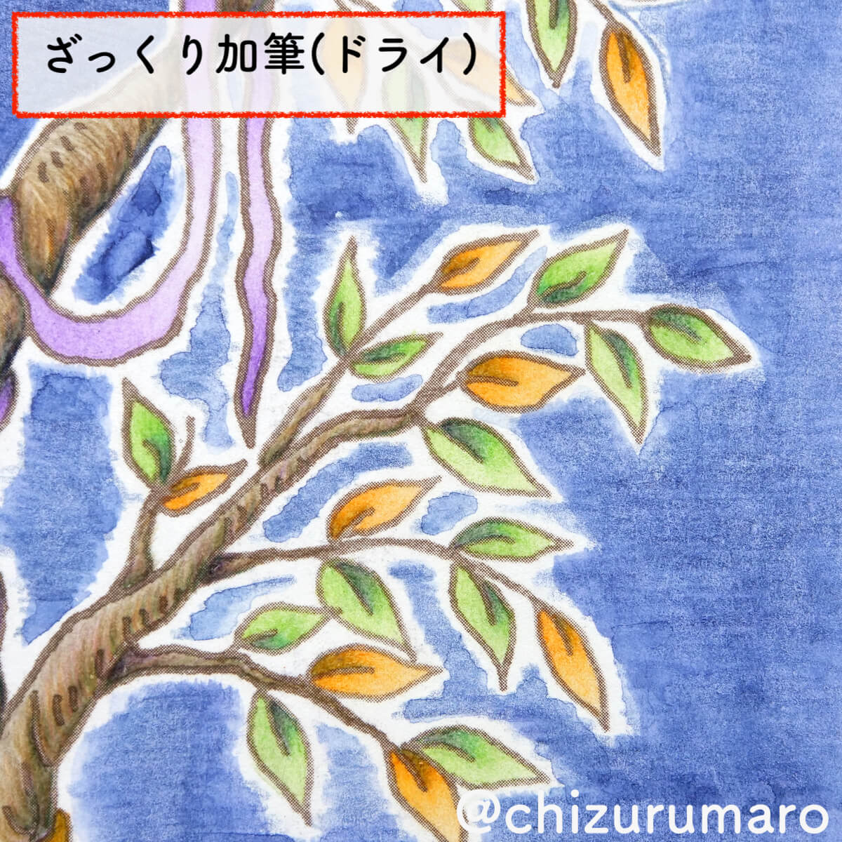 f:id:chizurumaro:20201208162603j:plain