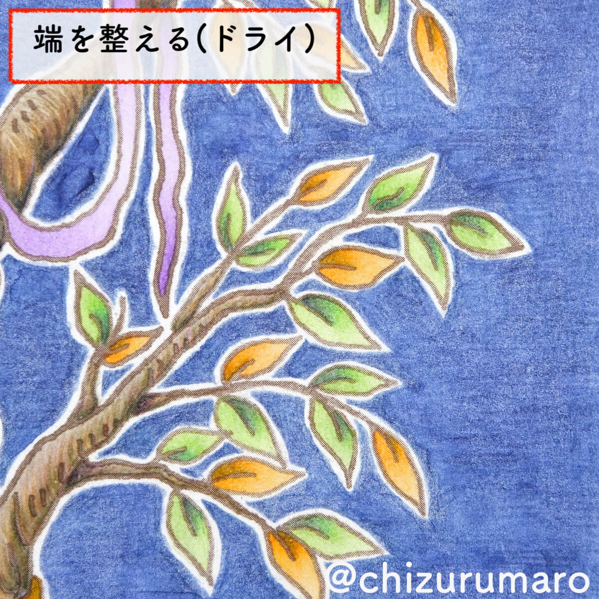 f:id:chizurumaro:20201208162723j:plain