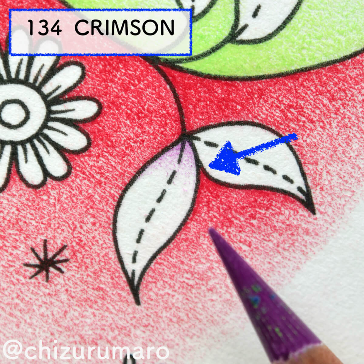 f:id:chizurumaro:20210225120433j:plain