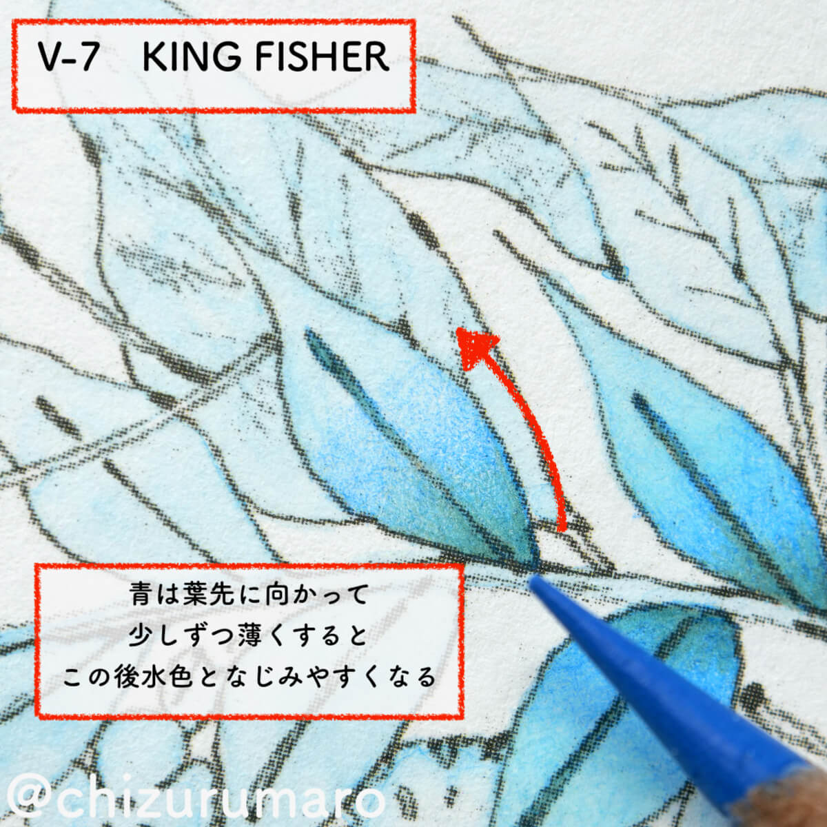 f:id:chizurumaro:20210413164757j:plain