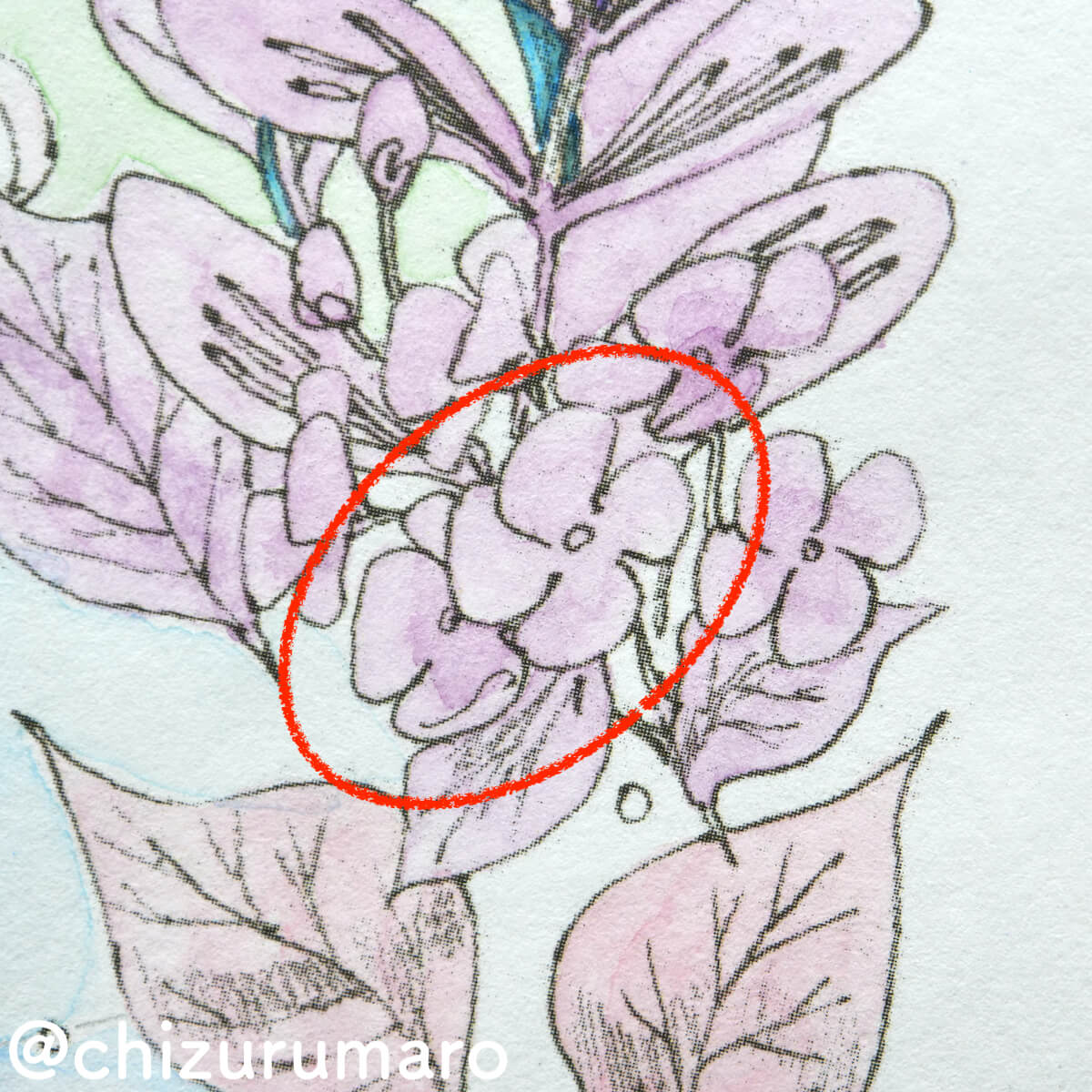 f:id:chizurumaro:20210504150941j:plain