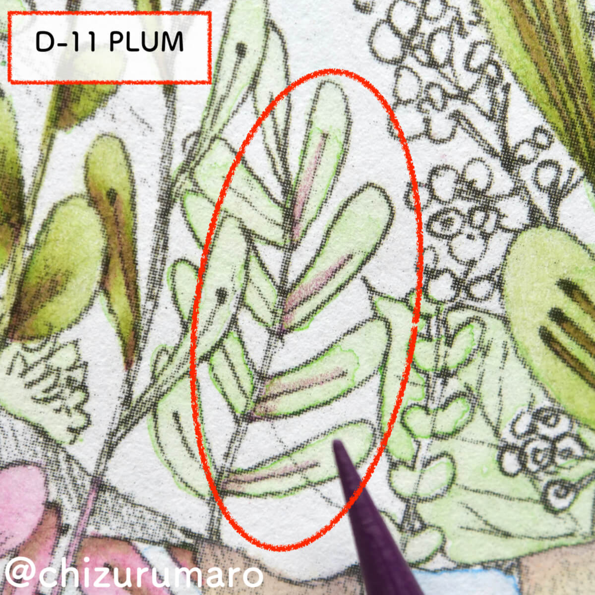 f:id:chizurumaro:20210708155801j:plain