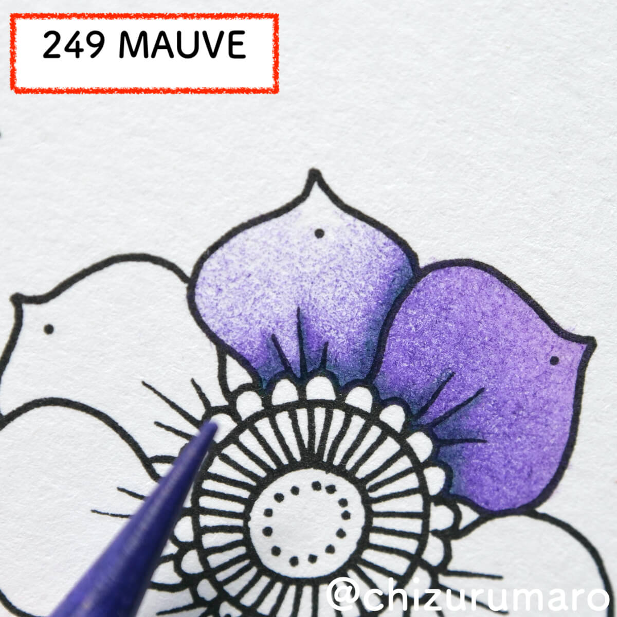 f:id:chizurumaro:20210805152446j:plain