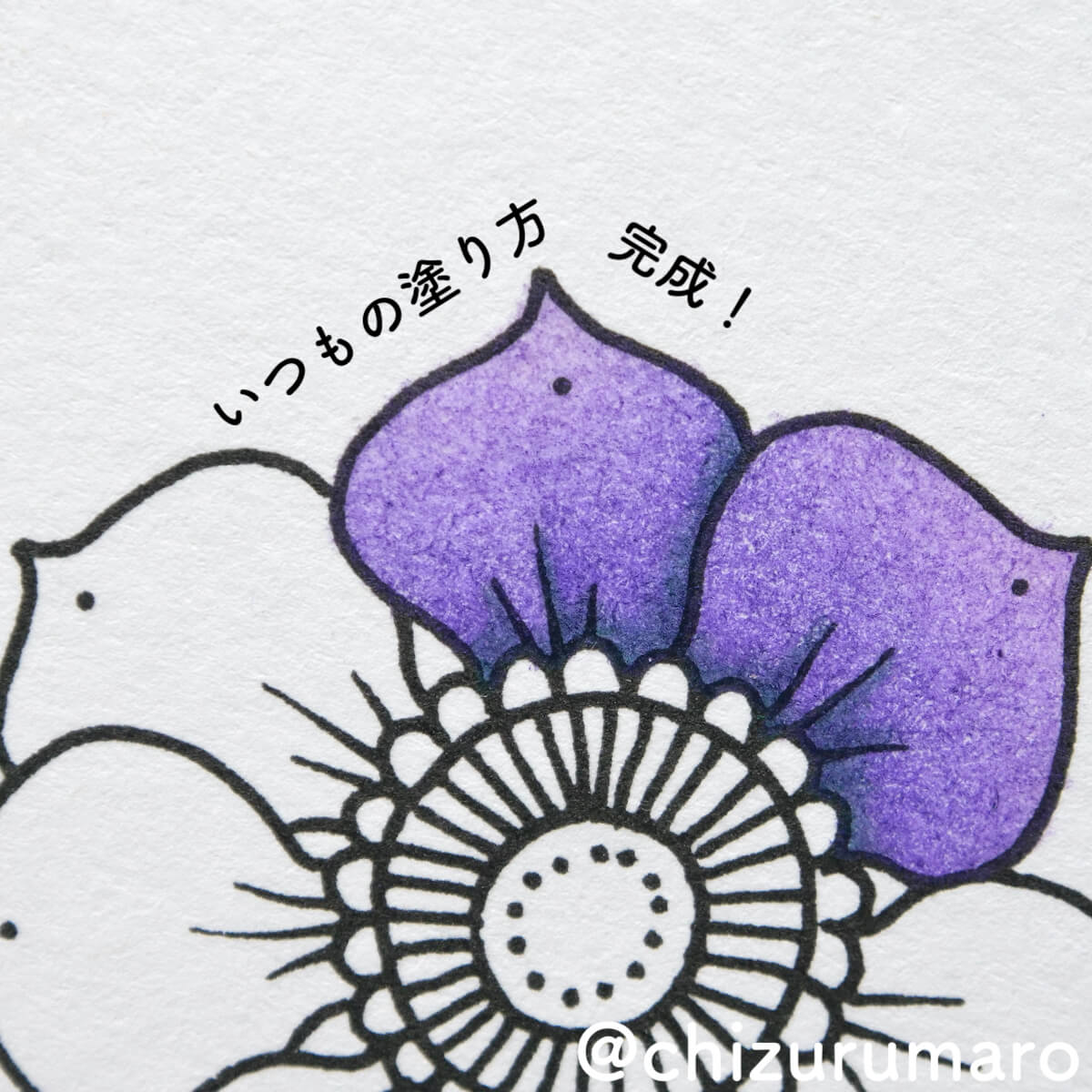 f:id:chizurumaro:20210805152837j:plain