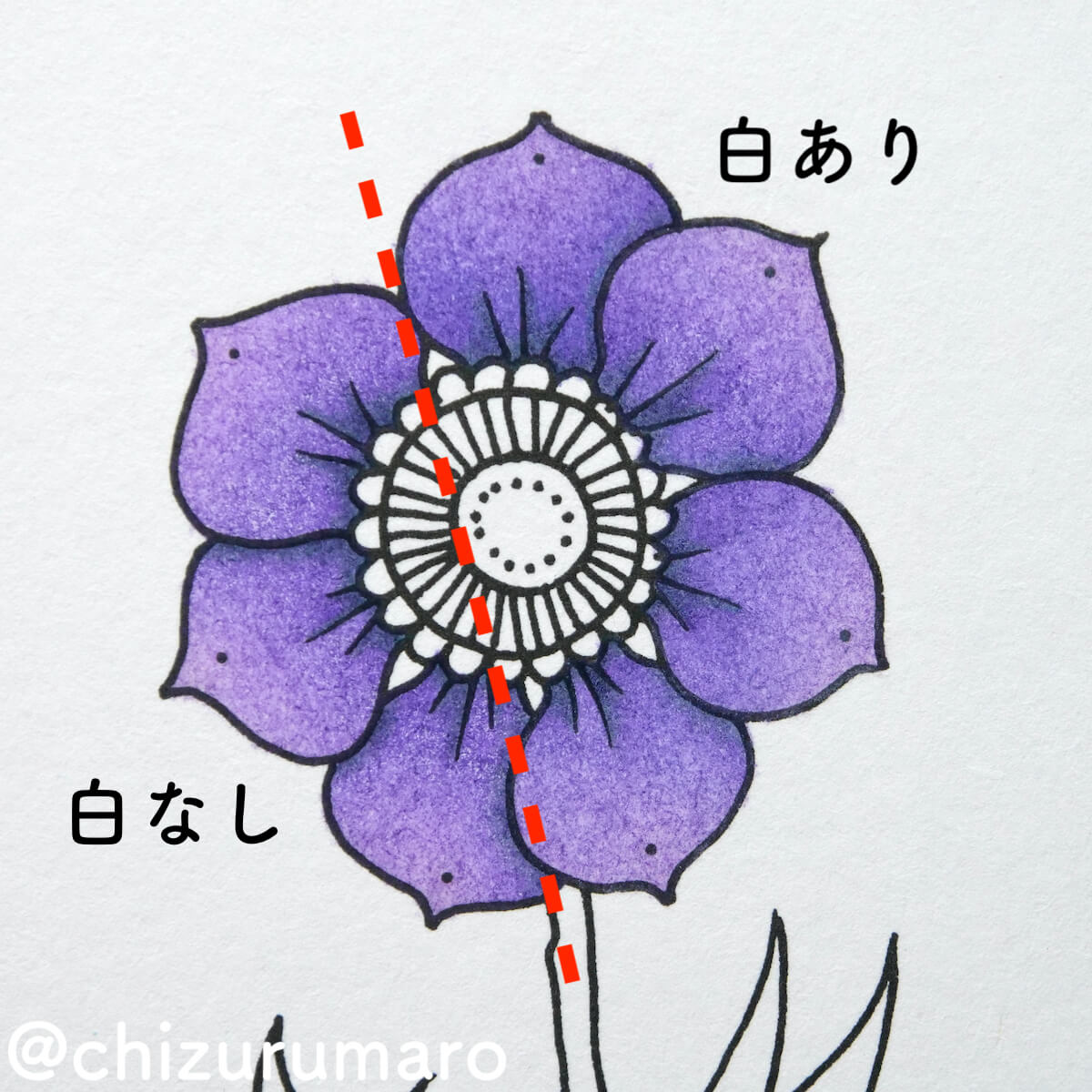 f:id:chizurumaro:20210805153346j:plain