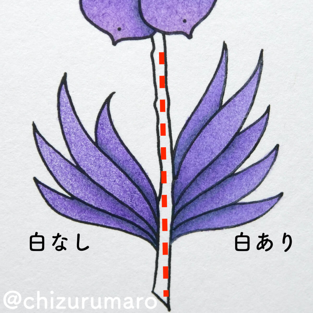 f:id:chizurumaro:20210805155325j:plain