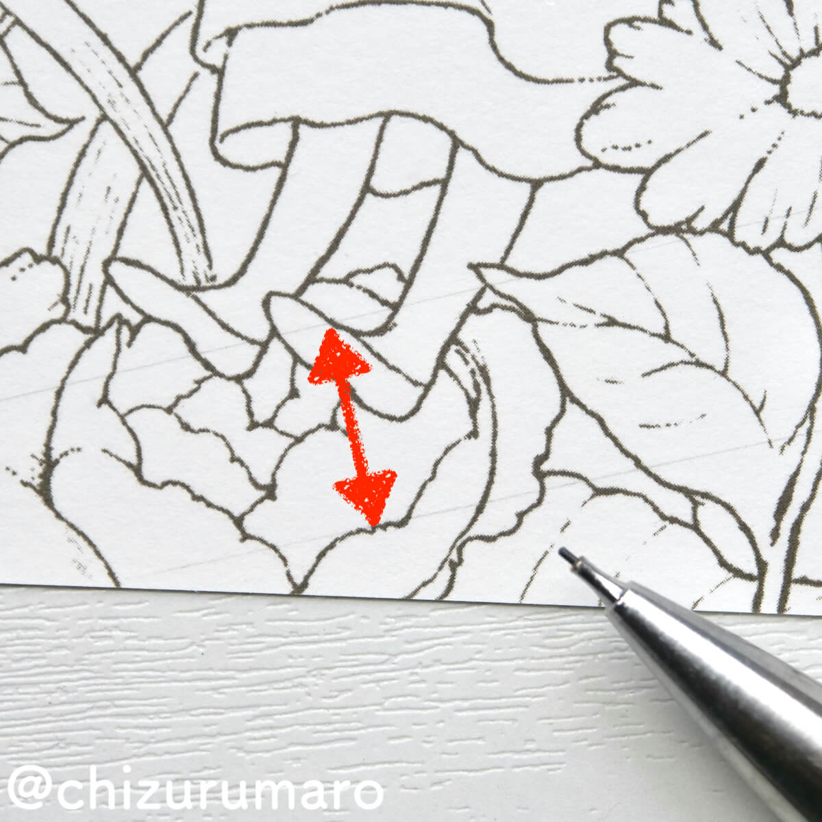 f:id:chizurumaro:20210917185329j:plain
