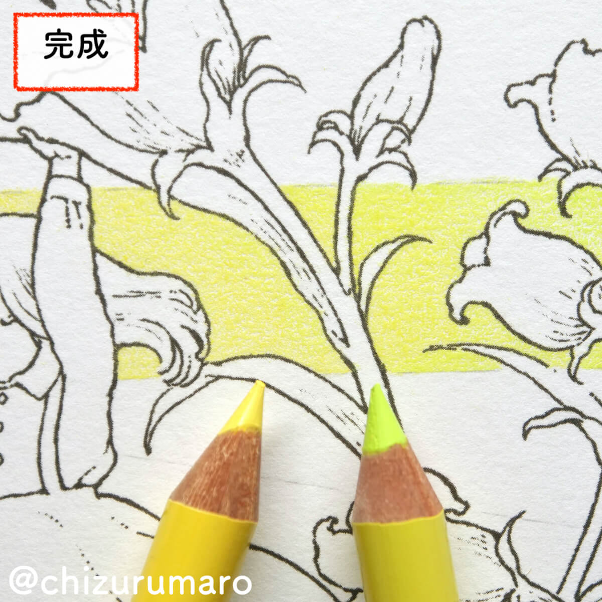 f:id:chizurumaro:20210917191723j:plain