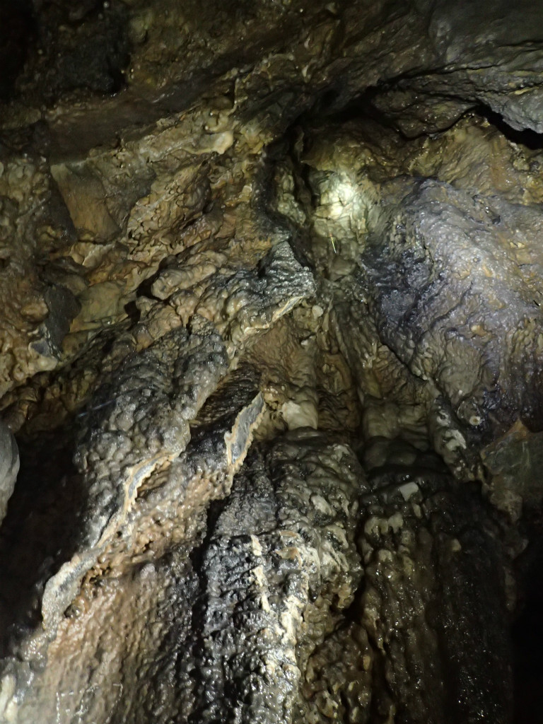 f:id:chkch:20170819210233j:plain