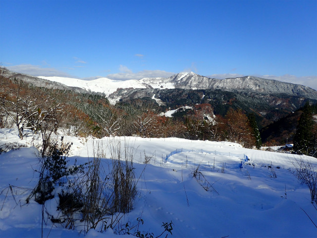 f:id:chkch:20171122175915j:plain