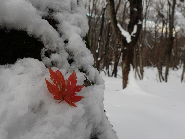 f:id:chkch:20171122175936j:plain