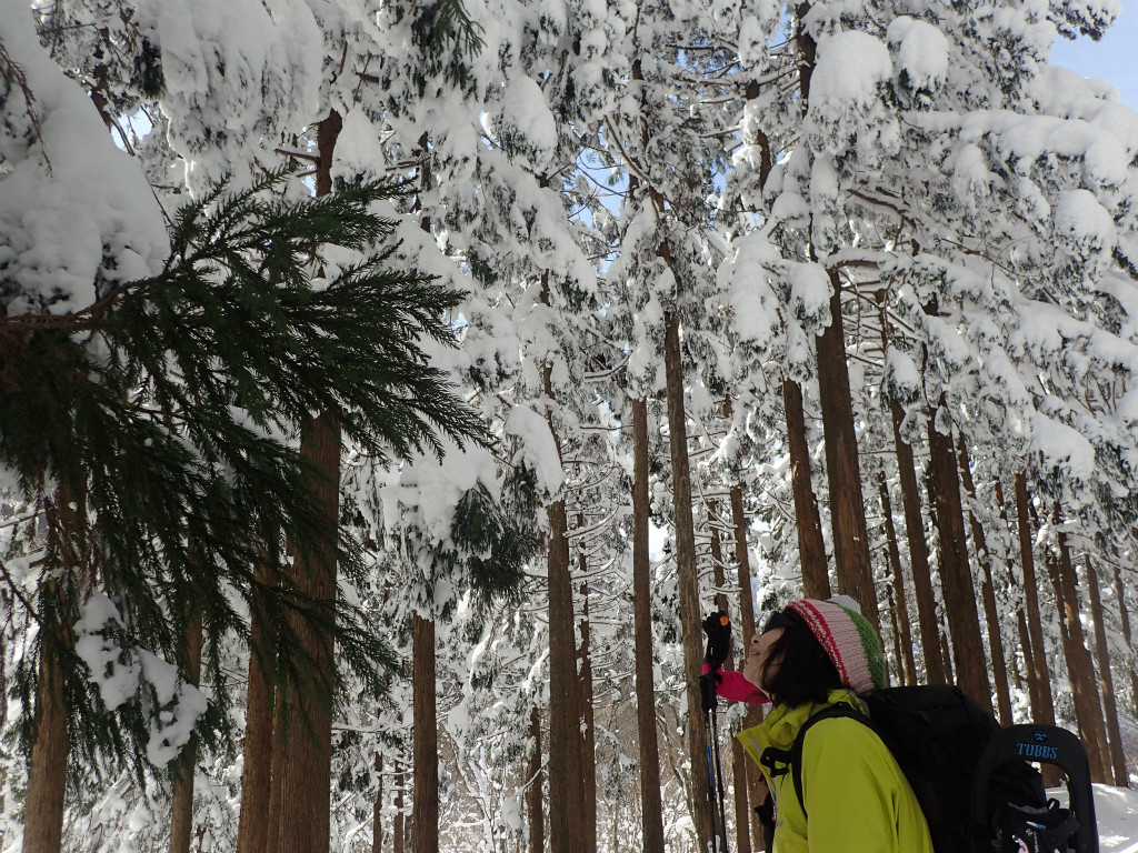 f:id:chkch:20180209230315j:plain