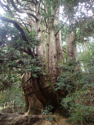 f:id:chkch:20180407213411j:plain