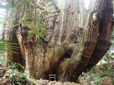 f:id:chkch:20180407213418j:plain