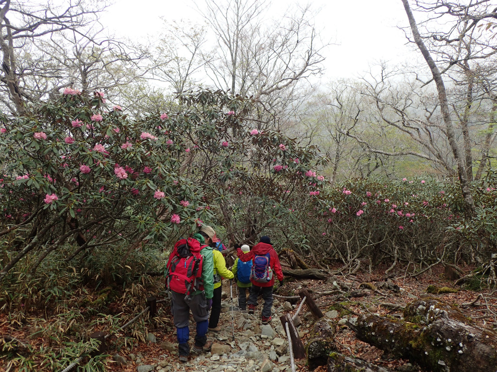 f:id:chkch:20180509203623j:plain