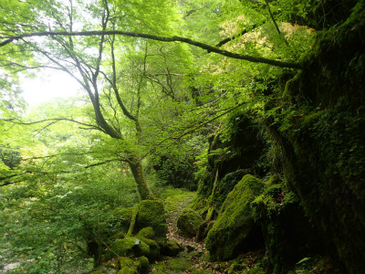 f:id:chkch:20180518213305j:plain f:id:chkch:20180518213305j:plain