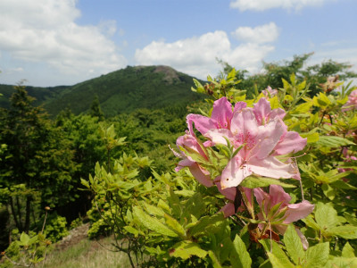 f:id:chkch:20180601211944j:plain