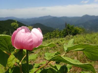 f:id:chkch:20180601211951j:plain