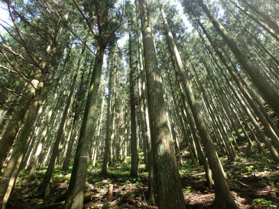 f:id:chkch:20180601212037j:plain