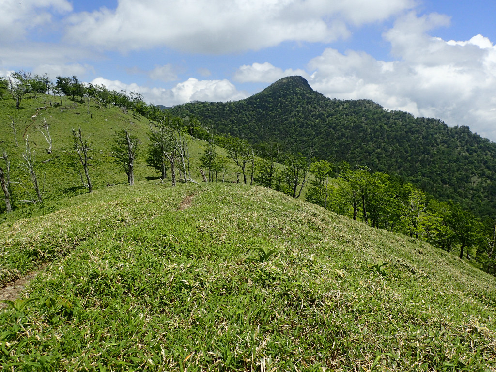 f:id:chkch:20180609221238j:plain