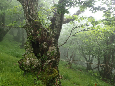 f:id:chkch:20180613190016j:plain