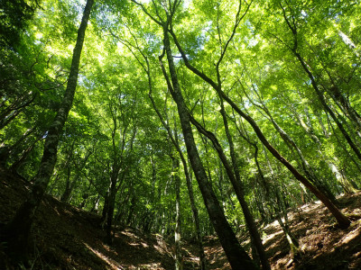 f:id:chkch:20180616214009j:plain