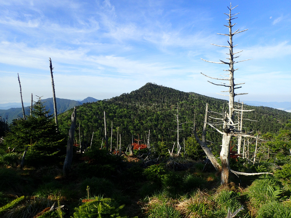 f:id:chkch:20181008142336j:plain