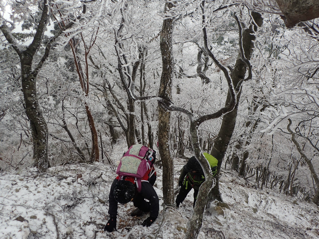 f:id:chkch:20181008155548j:plain