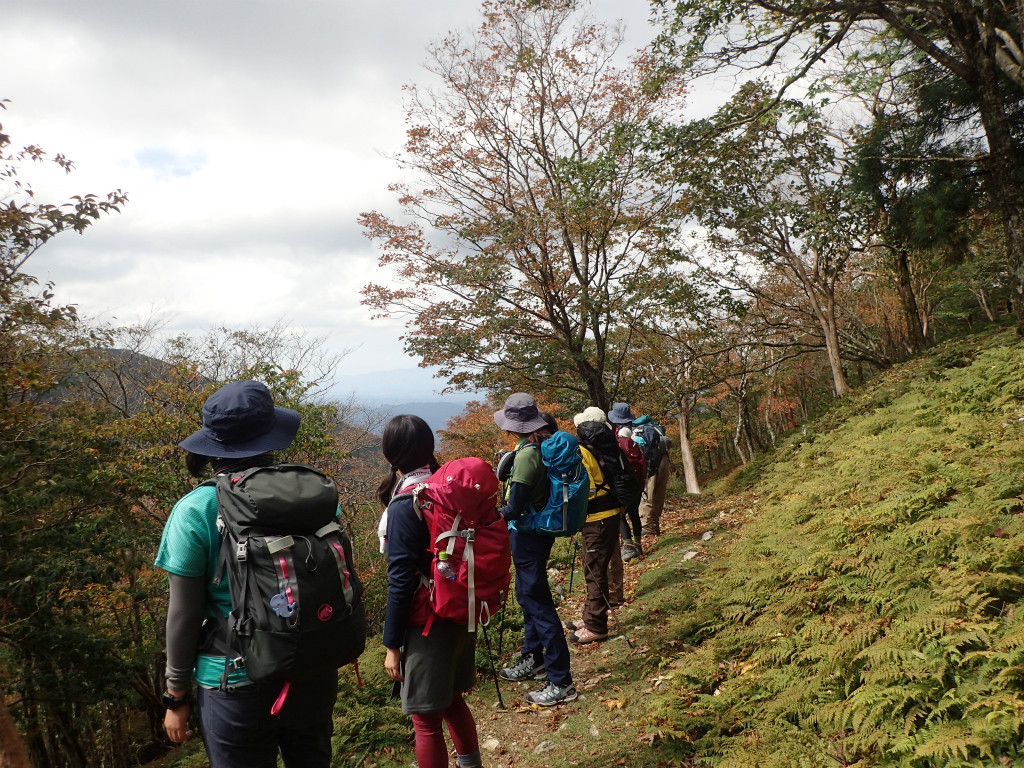 f:id:chkch:20181013222301j:plain