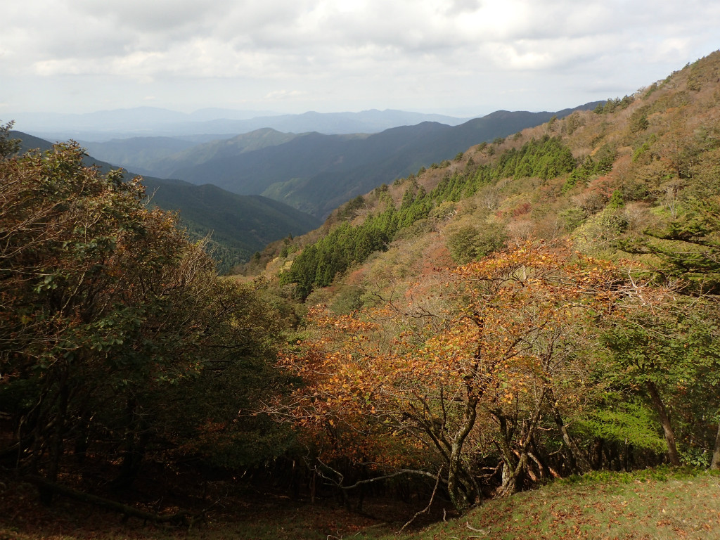 f:id:chkch:20181013222320j:plain