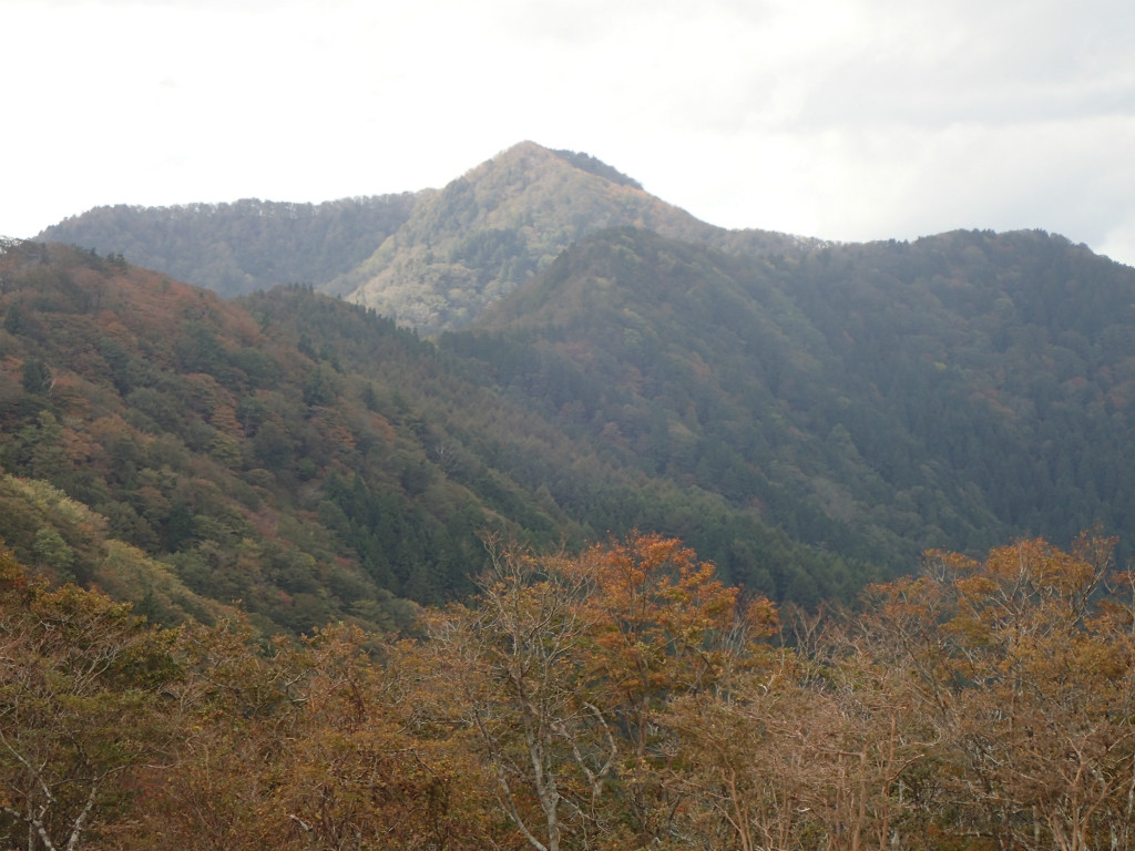 f:id:chkch:20181013222334j:plain