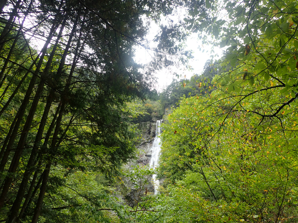 f:id:chkch:20181014225545j:plain