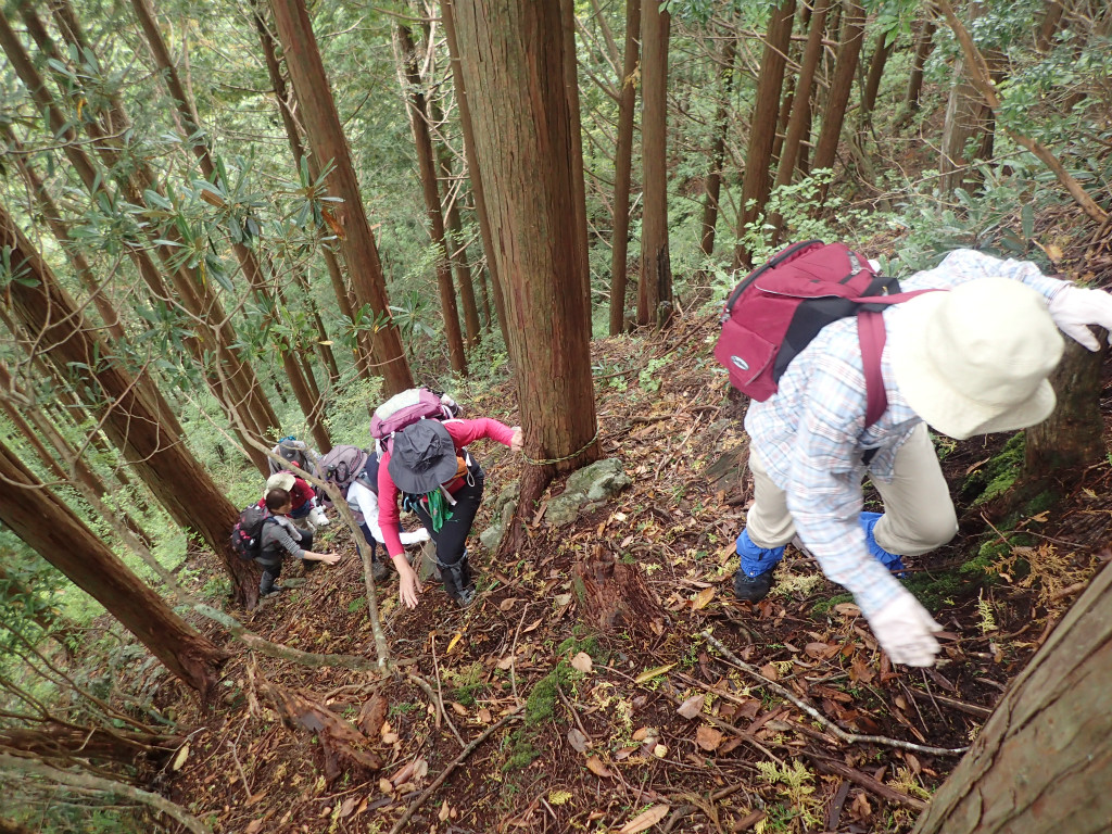 f:id:chkch:20181014225616j:plain