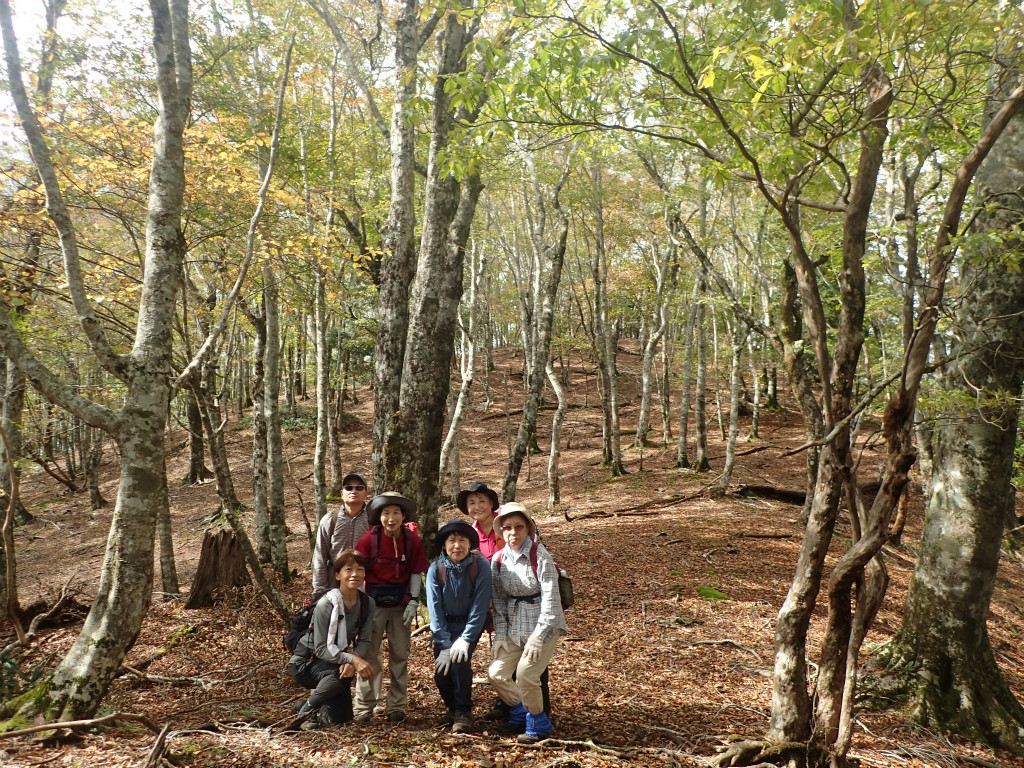 f:id:chkch:20181014225652j:plain