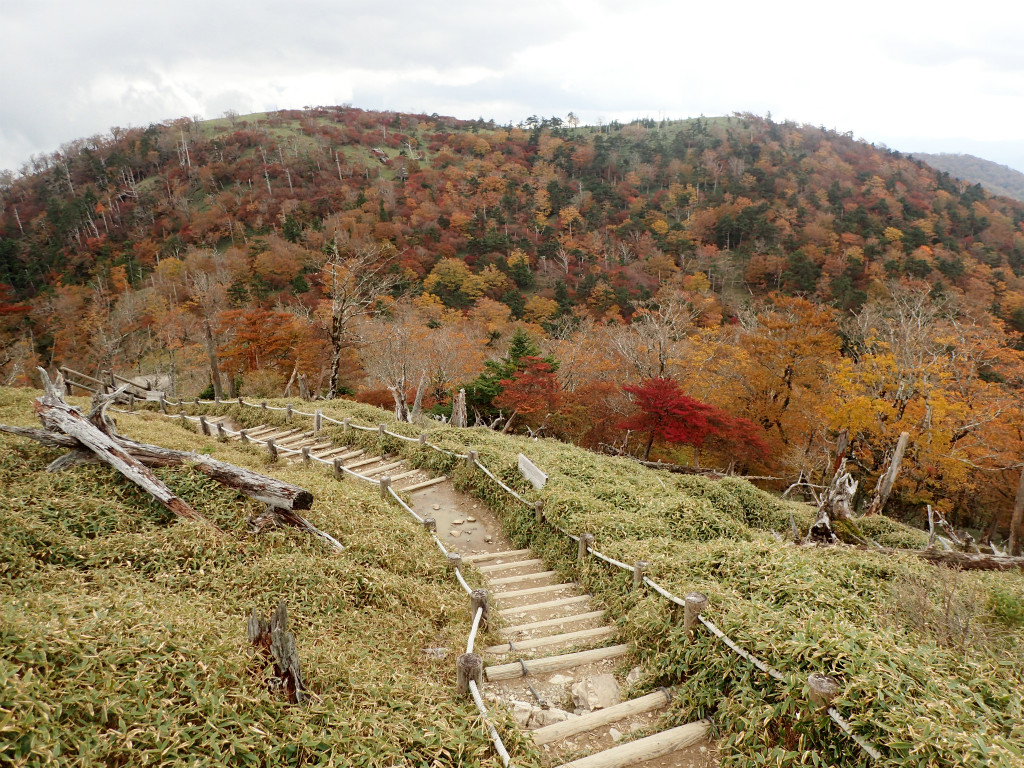 f:id:chkch:20181017220650j:plain