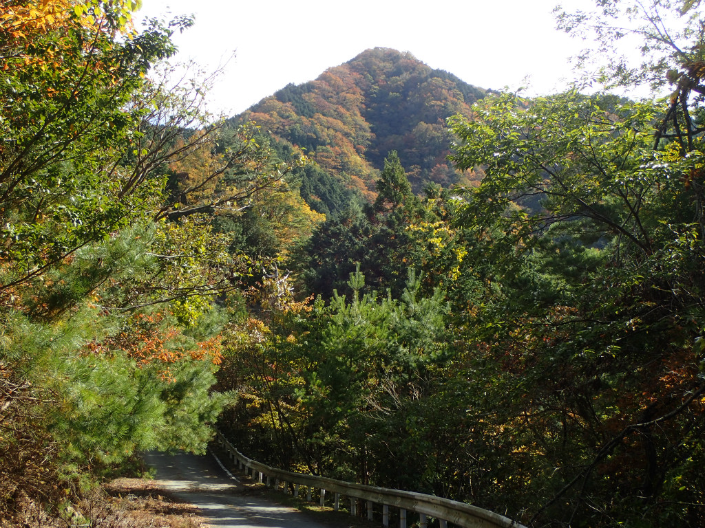 f:id:chkch:20181105220238j:plain