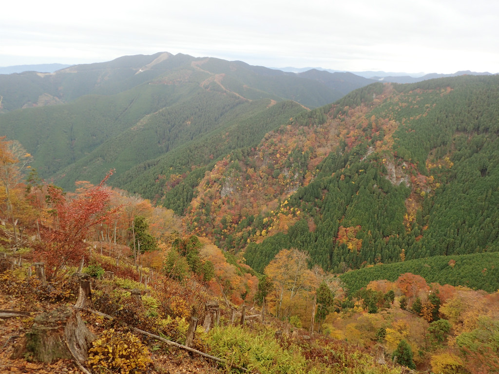 f:id:chkch:20181105220313j:plain