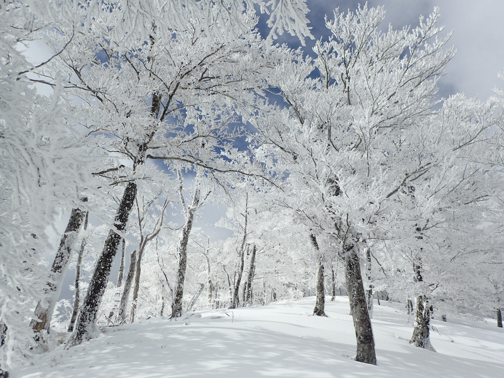 f:id:chkch:20181226232309j:plain f:id:chkch:20181226232309j:plain