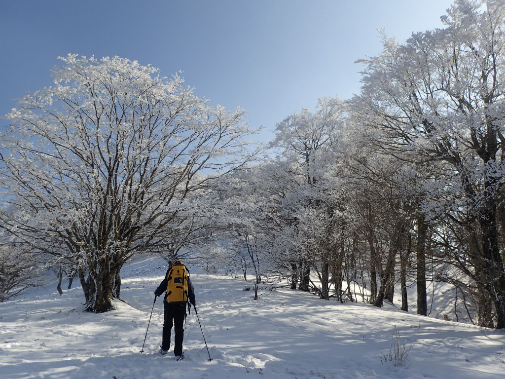 f:id:chkch:20190108234208j:plain