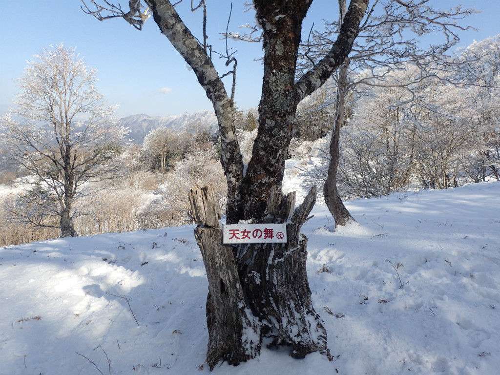 f:id:chkch:20190108234217j:plain