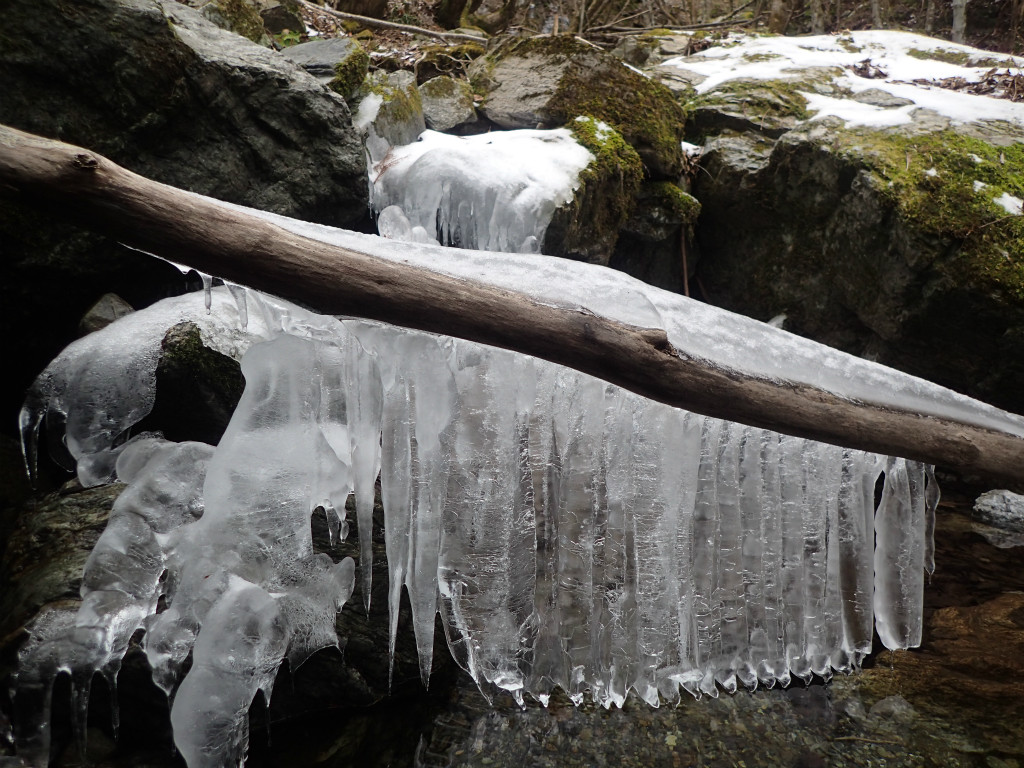 f:id:chkch:20190112205001j:plain