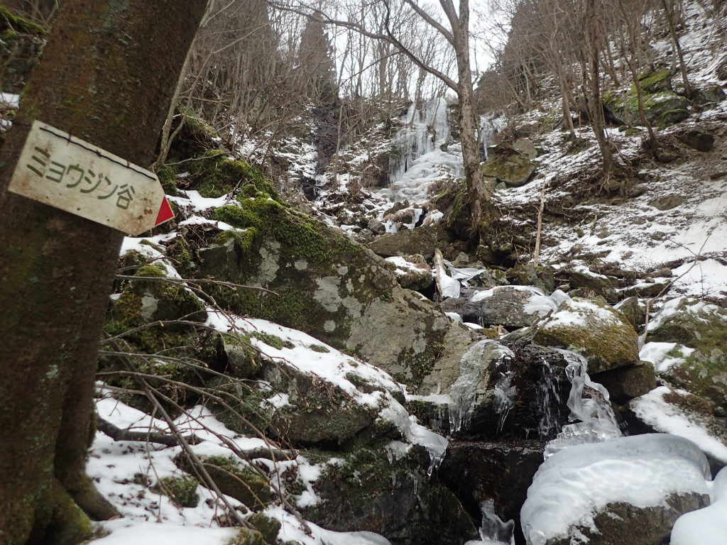 f:id:chkch:20190112205008j:plain