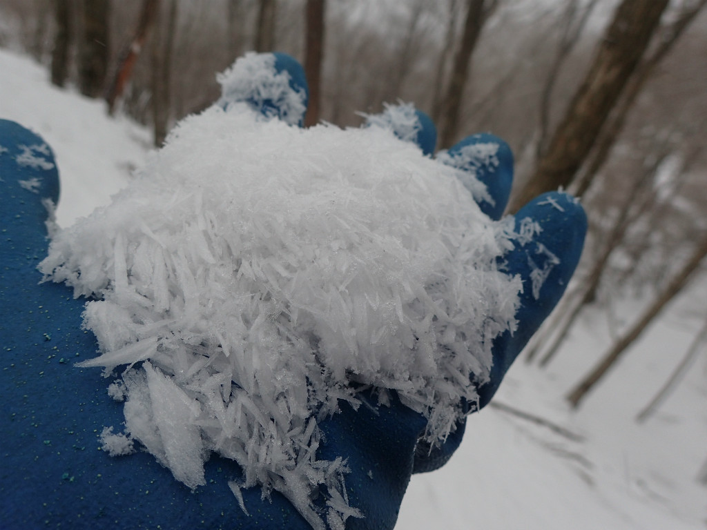 f:id:chkch:20190112205019j:plain