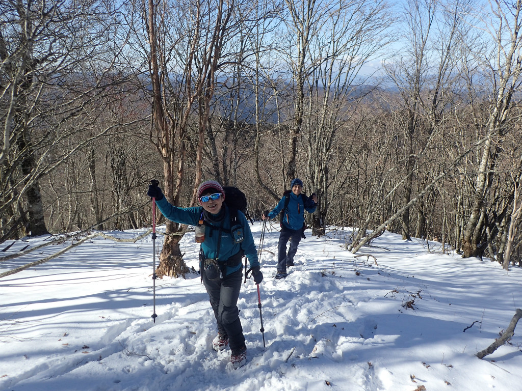 f:id:chkch:20190114205644j:plain