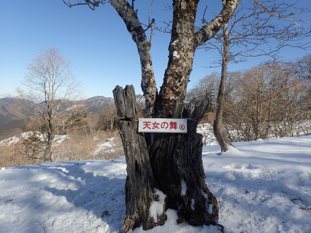 f:id:chkch:20190114205704j:plain