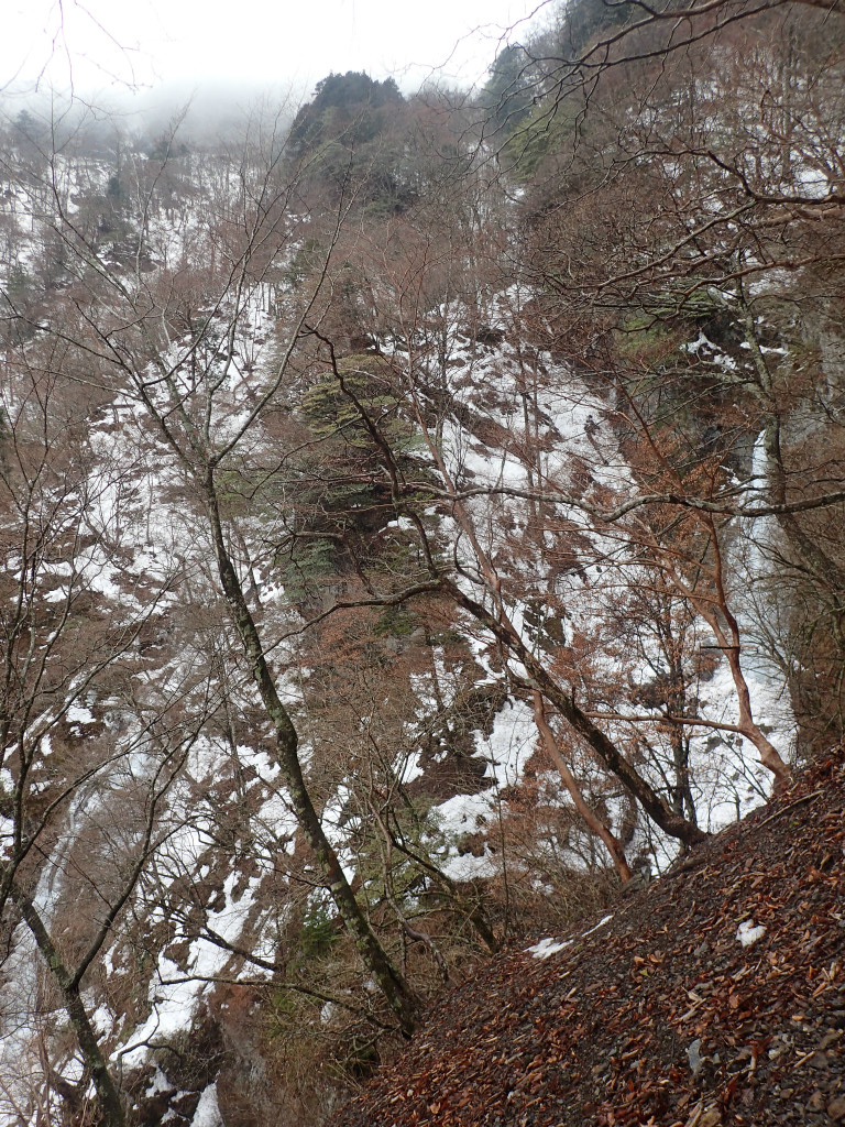 f:id:chkch:20190209225708j:plain f:id:chkch:20190209225708j:plain