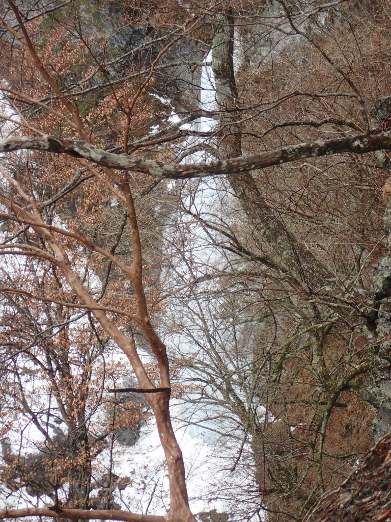 f:id:chkch:20190209225716j:plain f:id:chkch:20190209225716j:plain