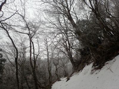 f:id:chkch:20190221214642j:plain