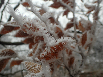 f:id:chkch:20190221214703j:plain